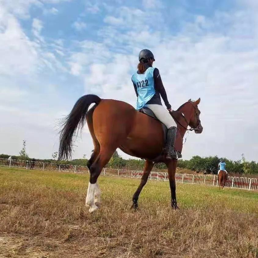合肥小众风景区,合肥有一处小众景点