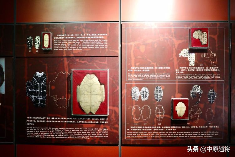 安阳殷墟遗址最著名的是什么遗址,安阳殷墟宫殿宗庙遗址讲解