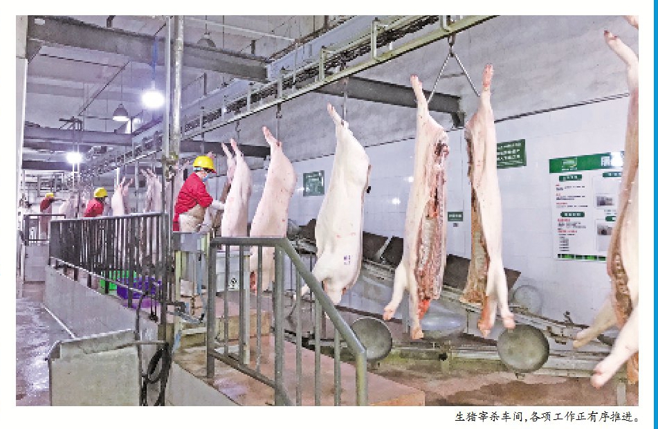 广元高金,广元高金食品厂长