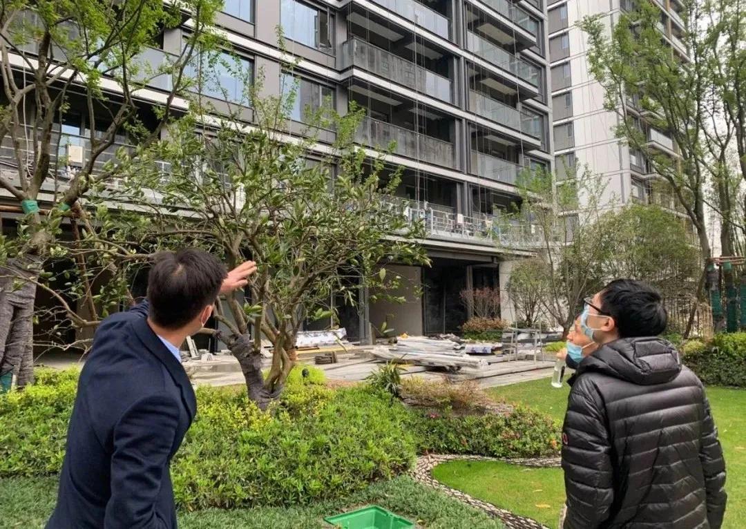 收留“红盘心碎者”！这几天，杭州流摇盘和二手房吃足一波行情