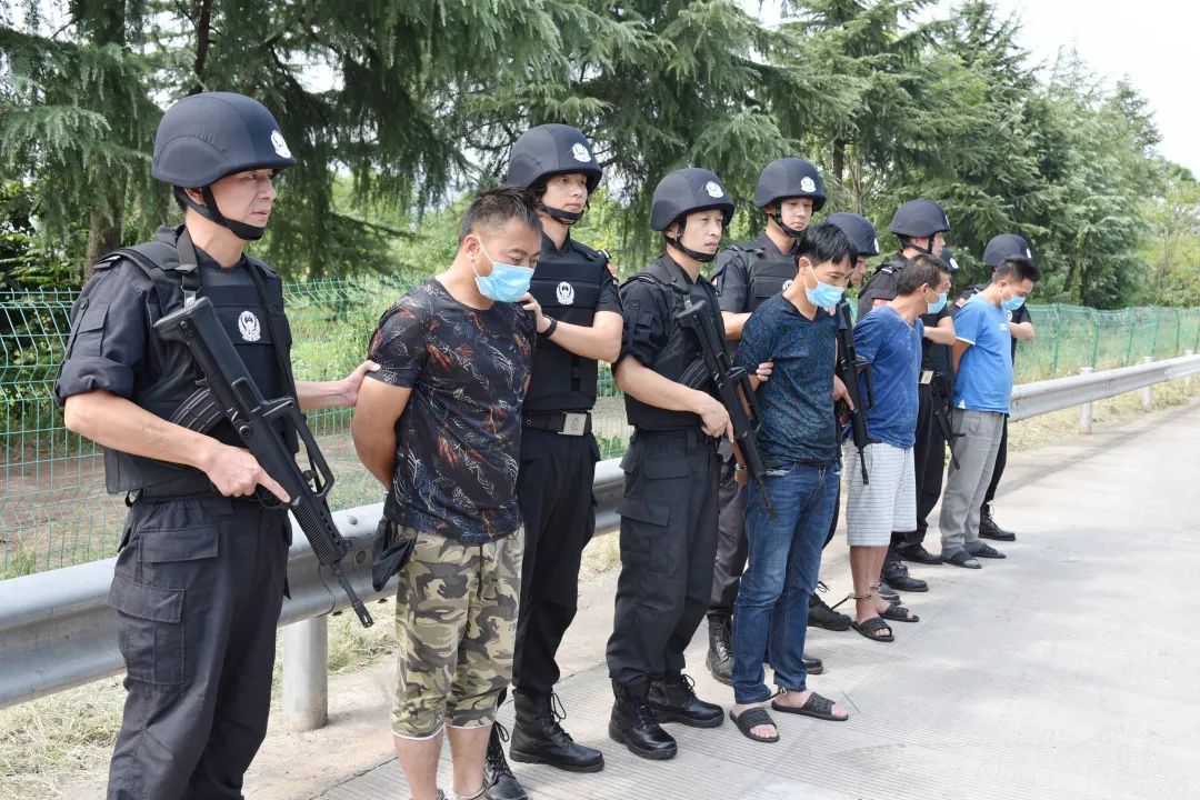 浙江金东区命案最新消息,金东区最新刑事案例