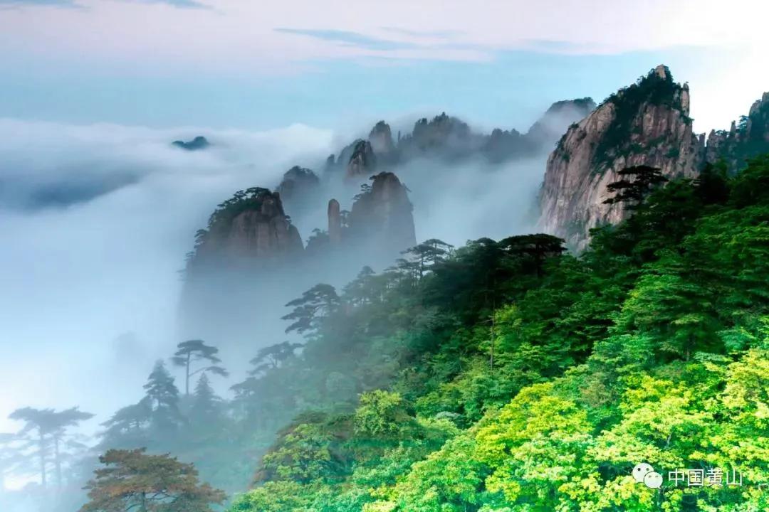 春游江淮旅游线路图片欣赏,春游江淮请您来