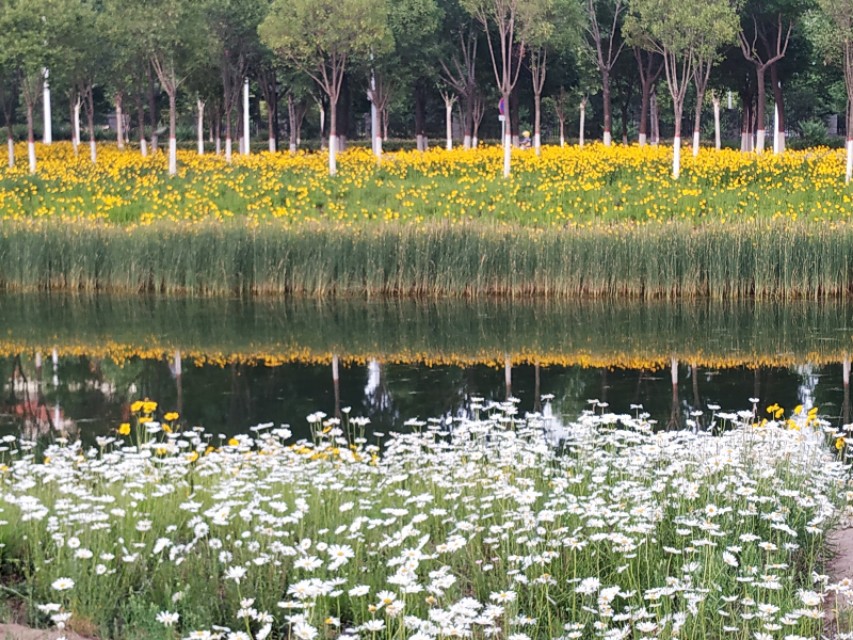 风景优美闲暇好去处,下班休闲好去处