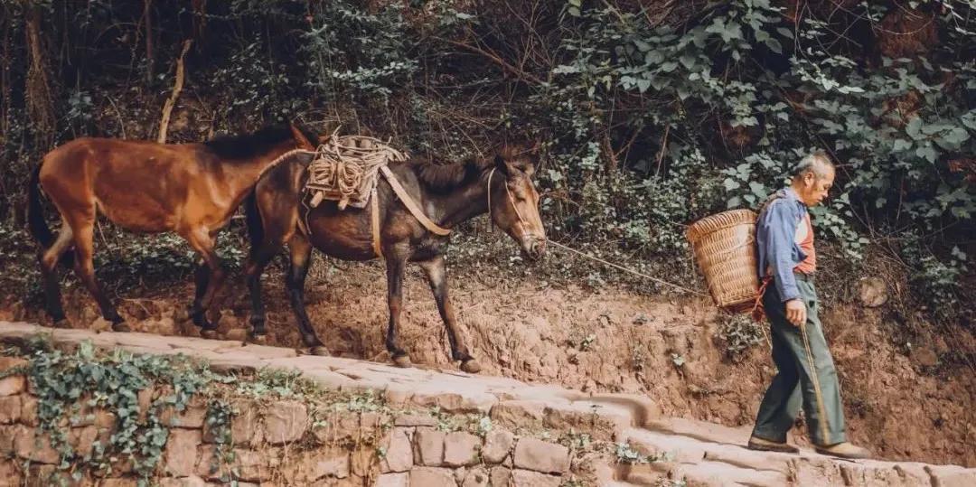 别只盯着大理丽江了！这5个避世小众古镇清净又好吃，你去过几个