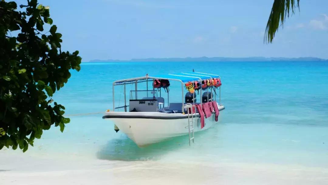 收藏!2019年最新免签、落地签信息