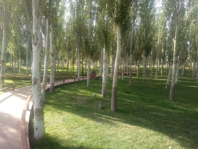 个体户营业执照10年未注销罚多少,个体户不开了是否要注销营业执照