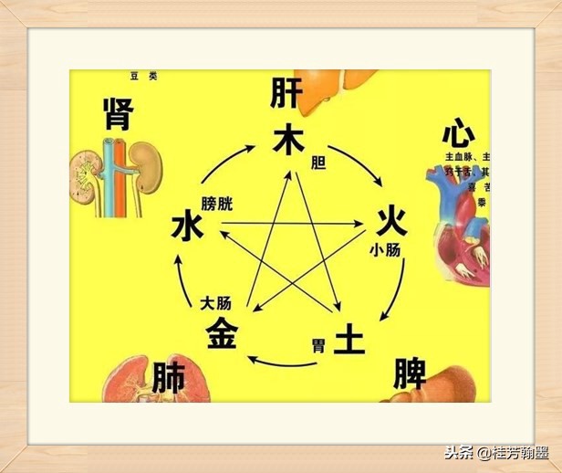 周福堂第三代传人钟延文|周福堂始创于1938年源于清末光绪26年