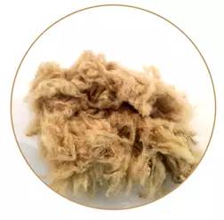 新型环保抗菌纤维——聚酯铜纤维