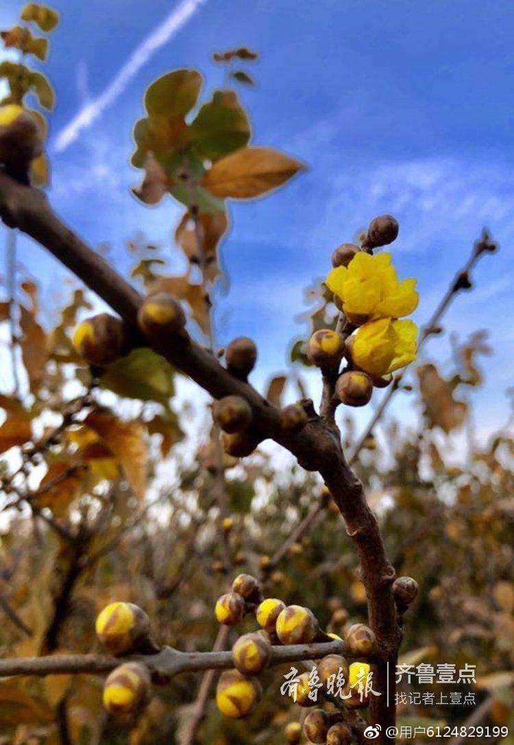 汉字中读音相同意思不一样的字,神奇的汉字长读音