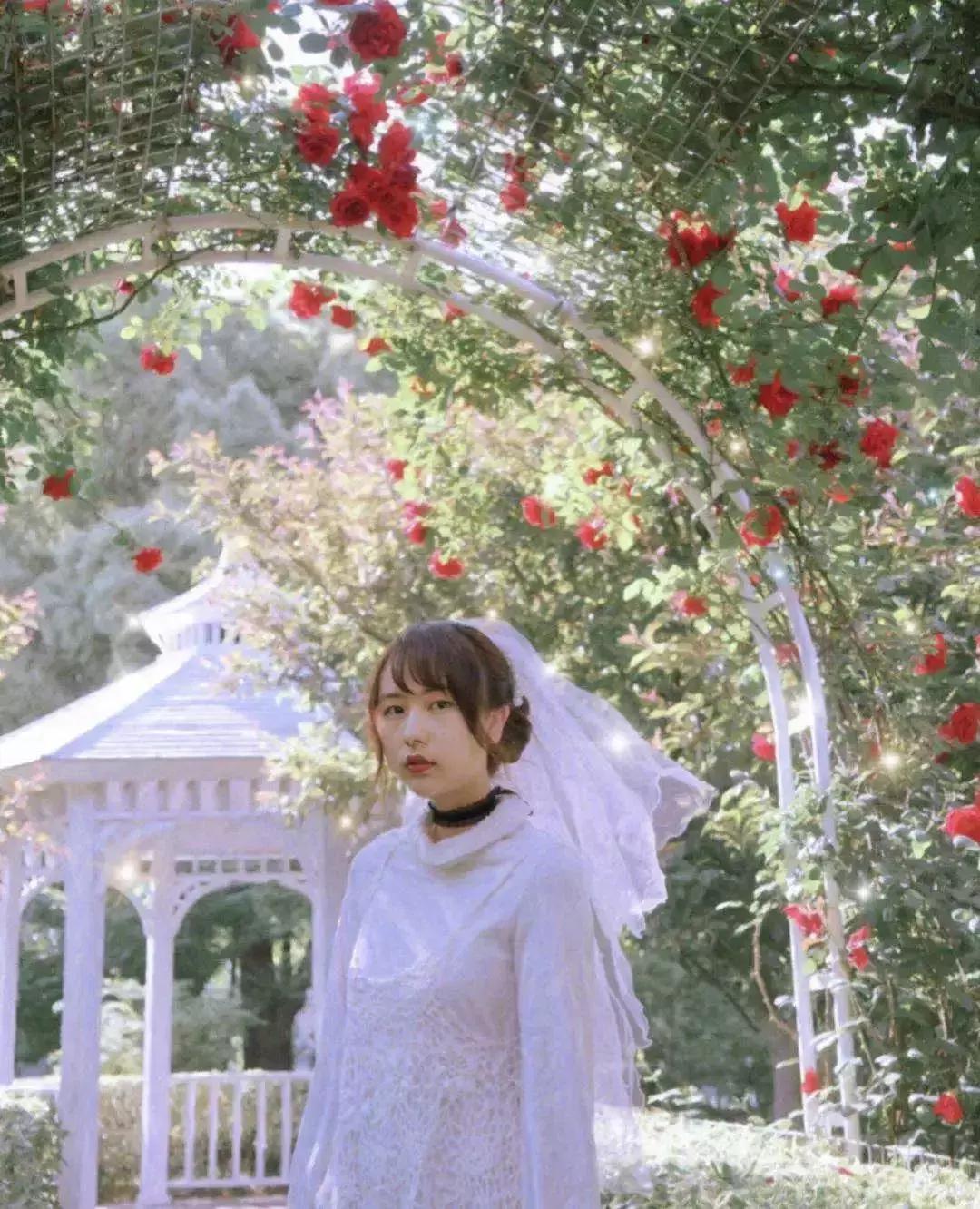 眼前一亮！6月的虹口，原来有那么多美翻了的拍照打卡地！