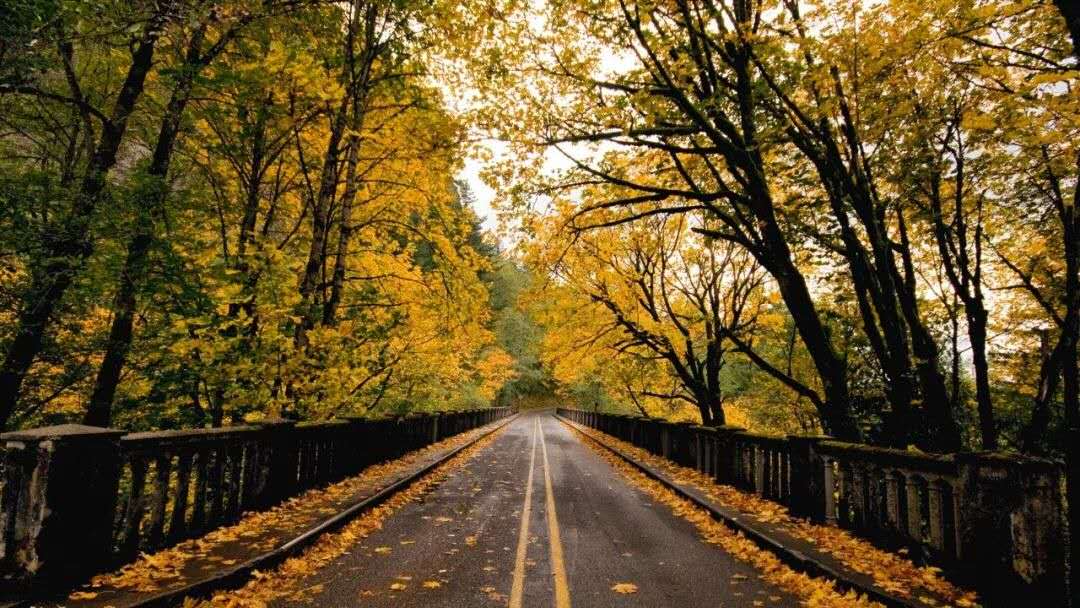 潍坊新楼盘曝光事件,潍坊金茂府一期