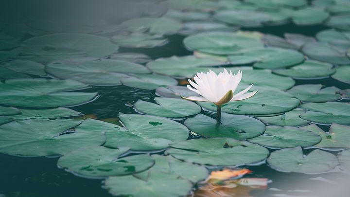 李冰冰外号视频,李冰冰名字的含义