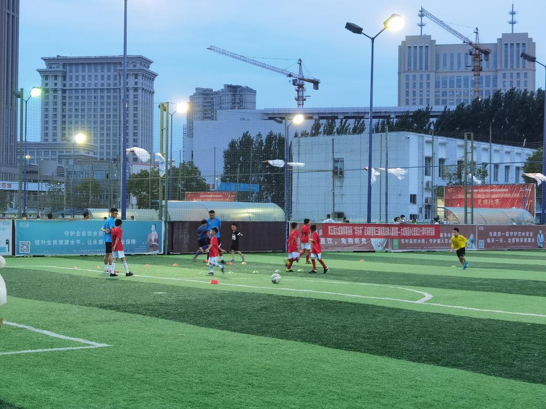 绿茵场上到处都是遗憾,绿茵场上的老将