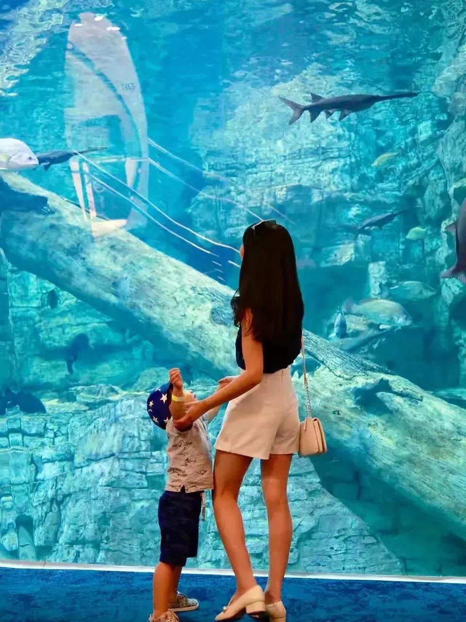 芝加哥及周边的好去处,芝加哥周边游玩