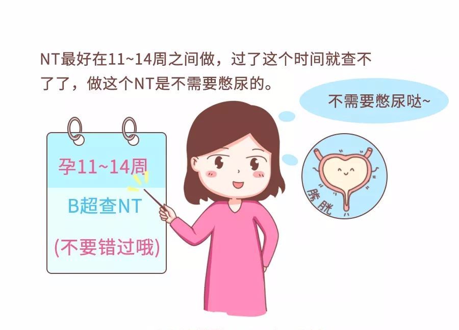 产检小册子是什么东西,产检报告单怎么贴在产检册上