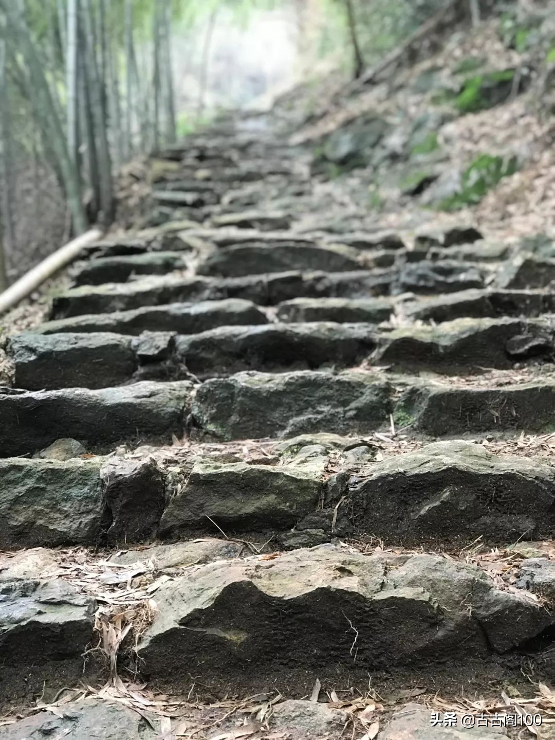 萧绍古道沿途风景,萧绍古道难爬吗