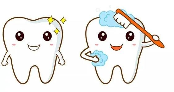 贝医生电动牙刷和欧乐b哪个好,为什么医生不建议用电动牙刷