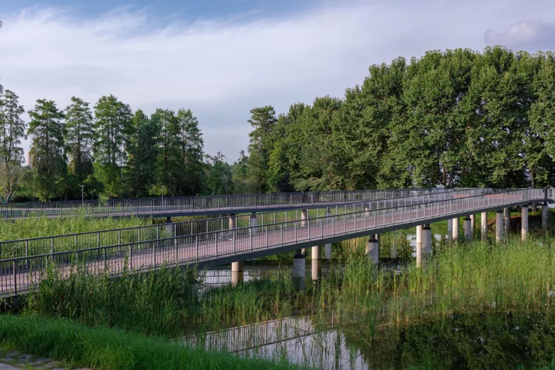 武汉华侨城湿地公园绿化,华侨城生态湿地公园武汉什么区