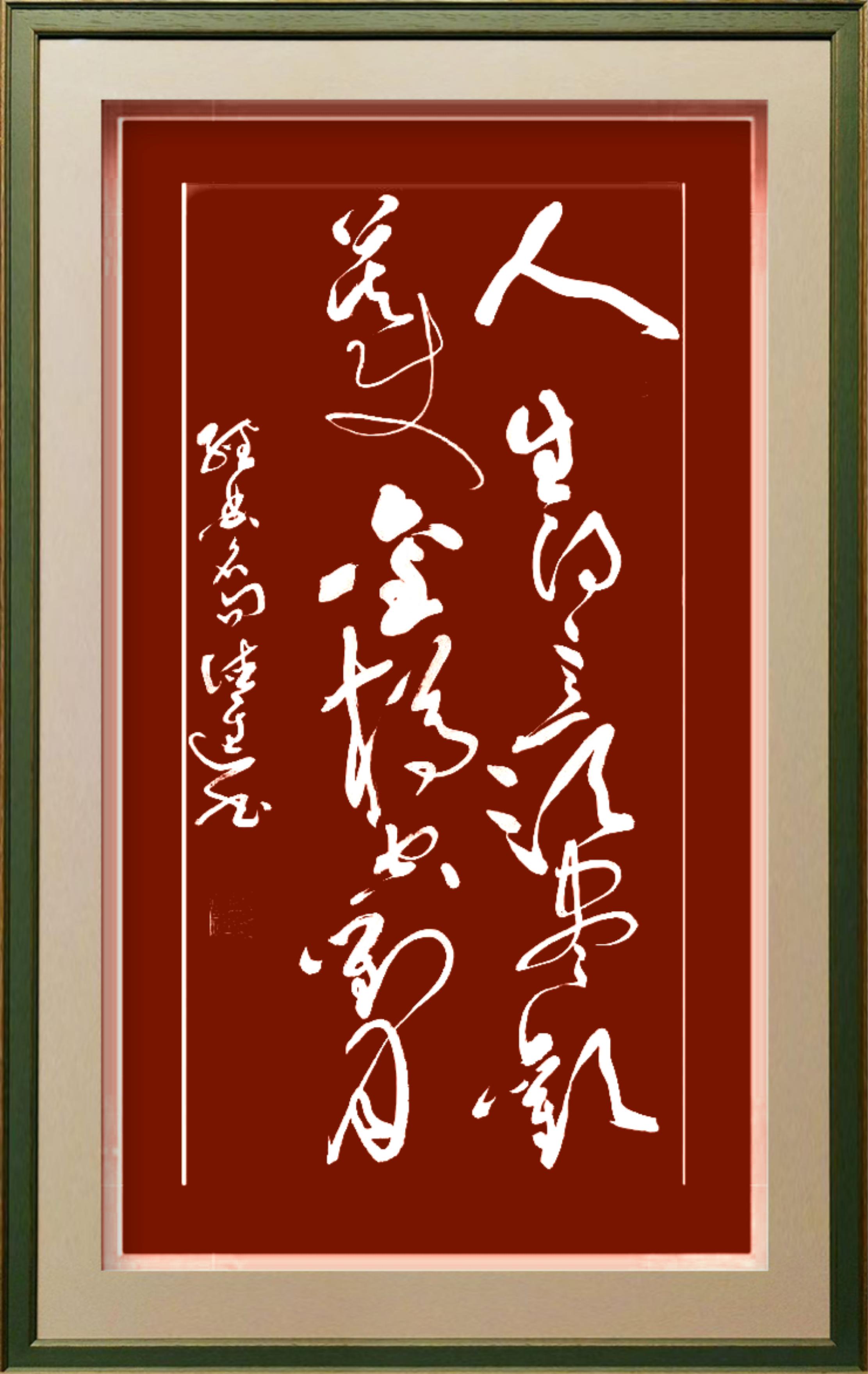 张德进大草书法,张德进草书书法作品集