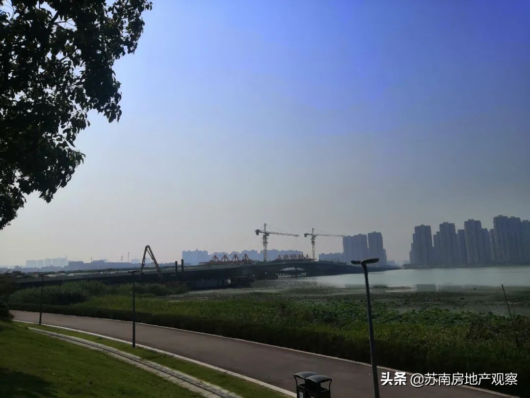 买花港,就是一场博弈