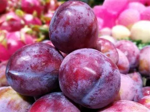 西梅怎样挑选是新鲜的,怎样挑选新鲜西梅吃