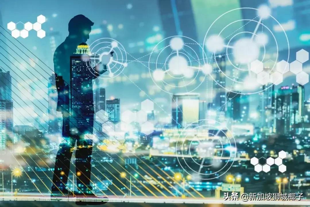 高薪!一部中国热播偶像剧,让新加坡这个专业彻底火了