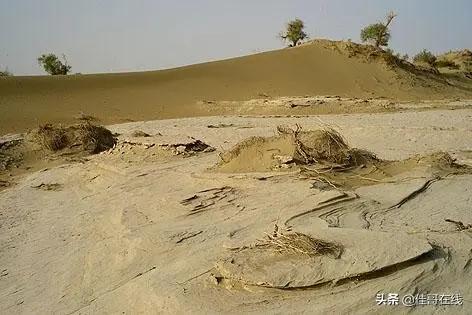 神奇的化学元素主要内容,镭放射性元素的故事