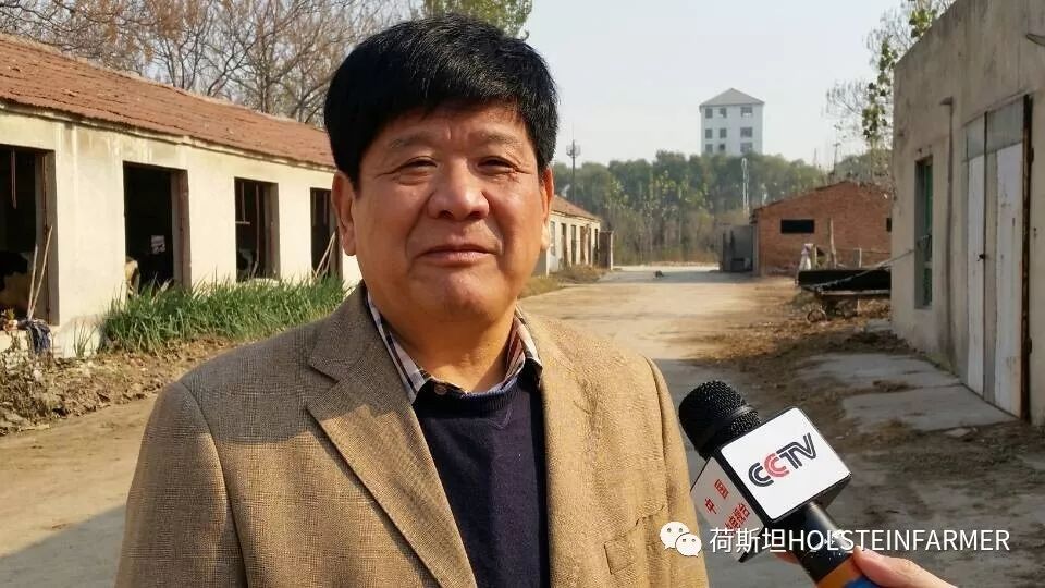 山东奶厂现状怎么样,乳企盈利牧场亏损