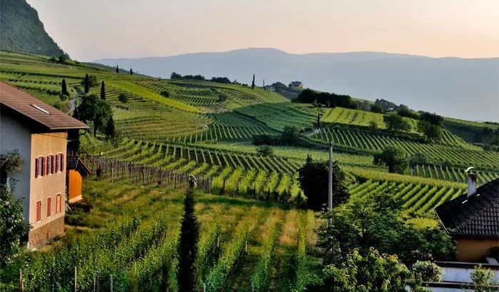 中国县城现状原文,中国县城现状深入调查