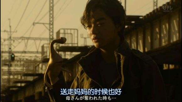 看一下来日本旅游的感受,日本之旅感受