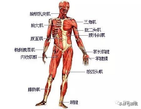 景甜减肥成功变回黑长直女神,景甜暴瘦