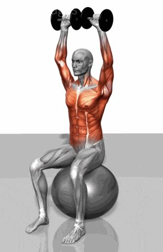 让手臂变粗的训练方法徒手,让手臂增肌的几个动作