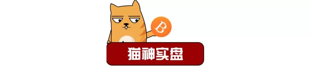 猫神日记—学不会认错的人始终无法善终