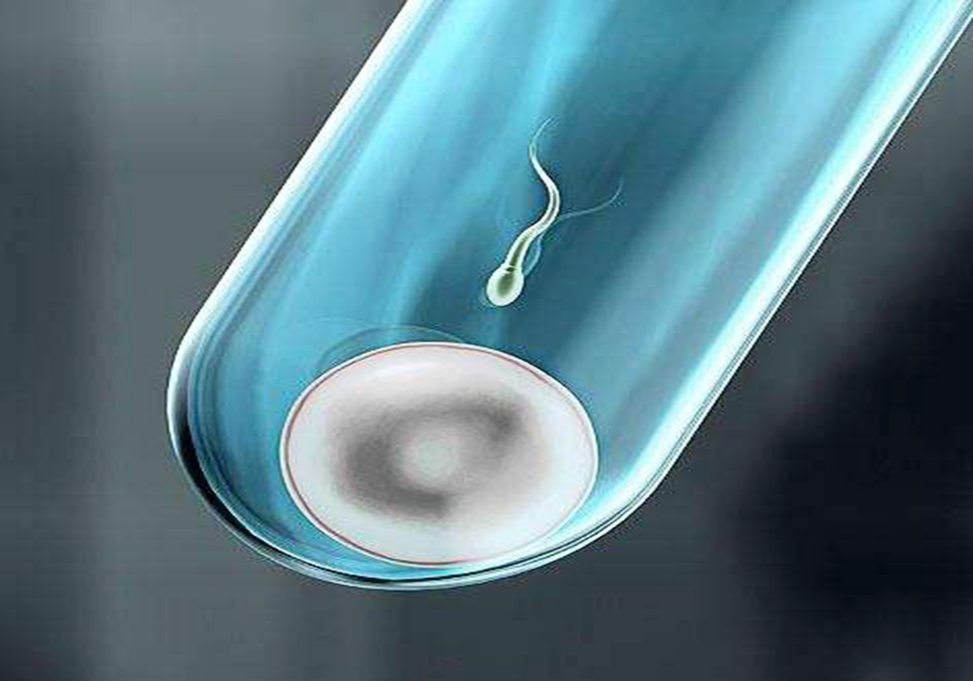 试管婴儿寿命短是真的吗,试管婴儿的寿命短是真的吗