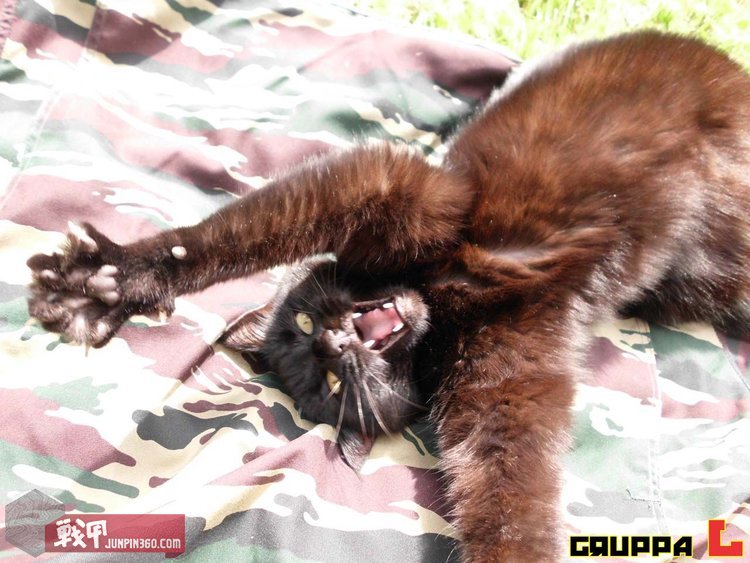 俄罗斯战袍大全,俄罗斯制作战袍