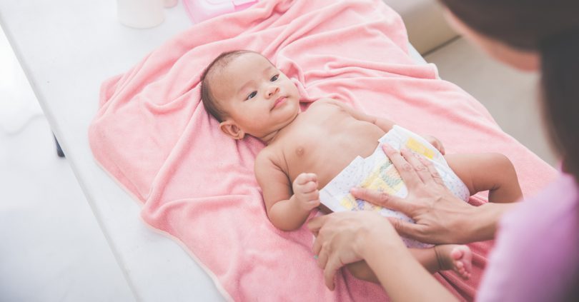 儿童怎么清洁鸟,怎么帮幼鸟清洁