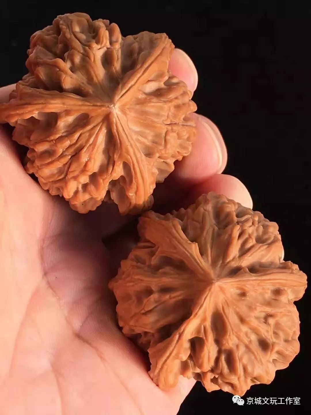 文玩核桃都是哪个地方的,你知道核桃原本是什么样的吗