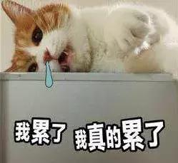 广州代购哪里最好,广州可以代购什么