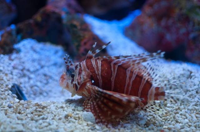 西安白鹿仓欢乐世界,西安曲江极地海洋馆旅游攻略