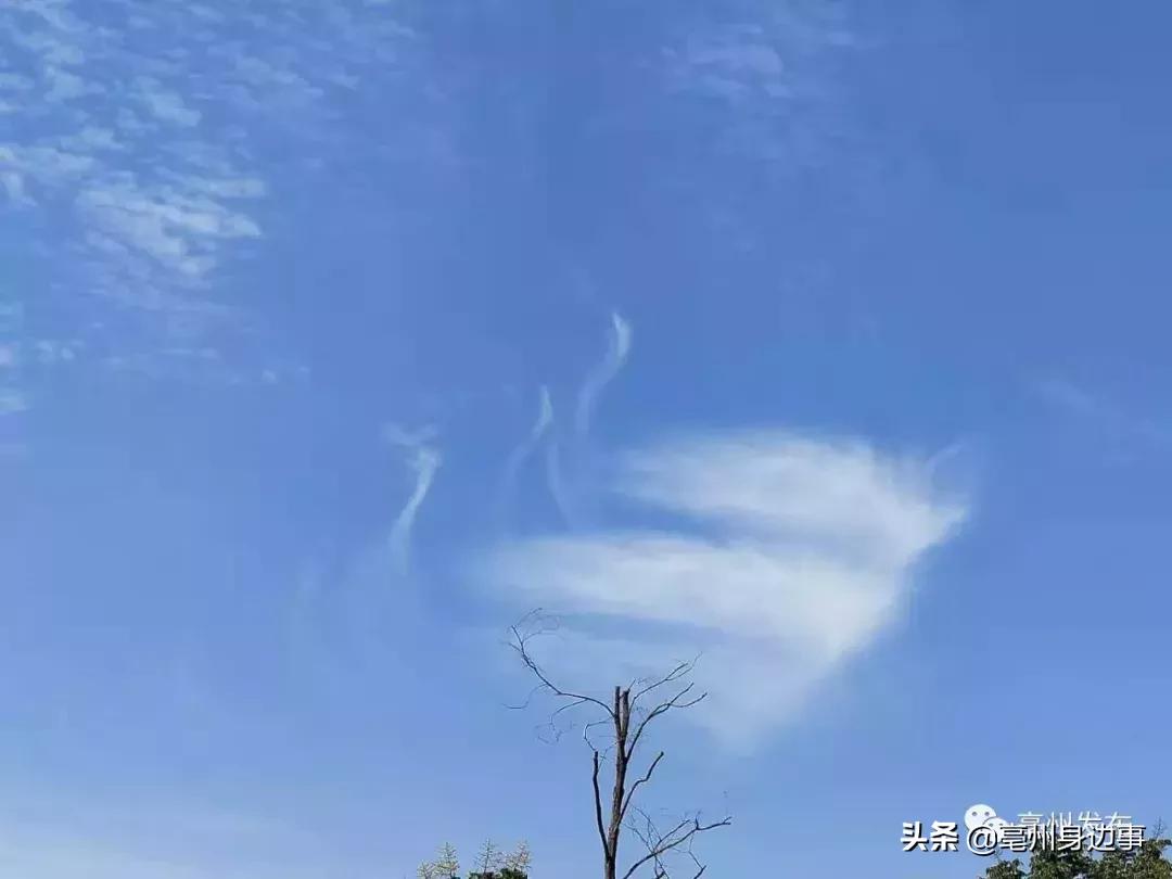 亳州空气质量实时排名,空气质量城市排名亳州