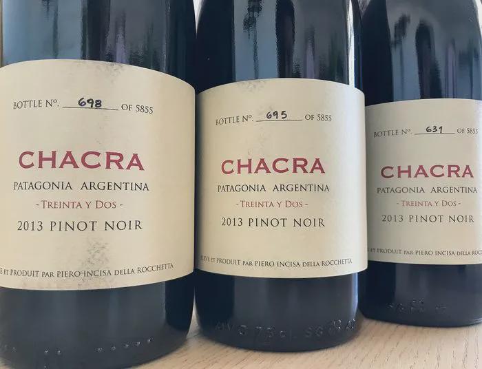 勃艮第黑皮诺好喝吗,勃艮第最顶级黑皮诺多少钱一瓶