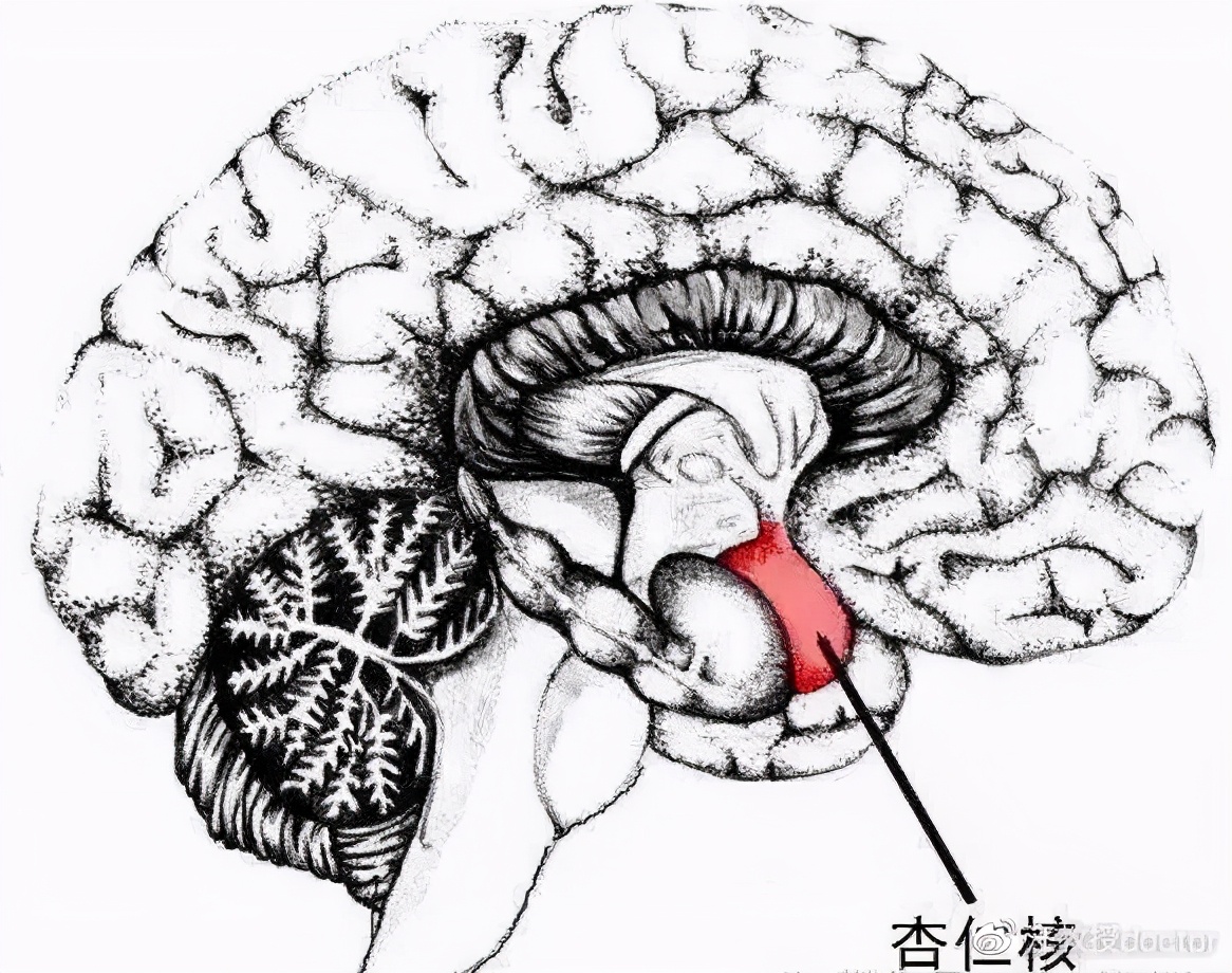 焦虑症如何治疗能治愈吗,怎样治疗焦虑症的视频
