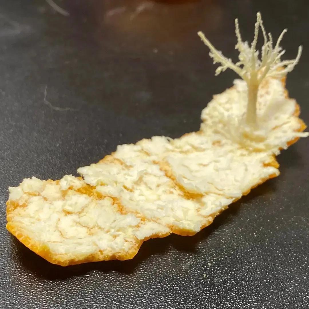 12个“无用”之美,第一个就被惊艳到了