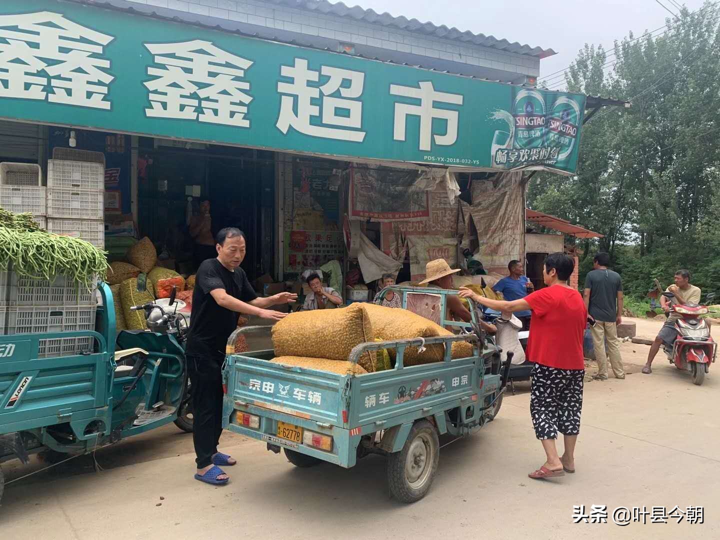 农民丰收歌2019,农民丰收唱新歌