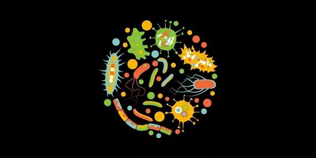 微生物组研究中的前沿新技术