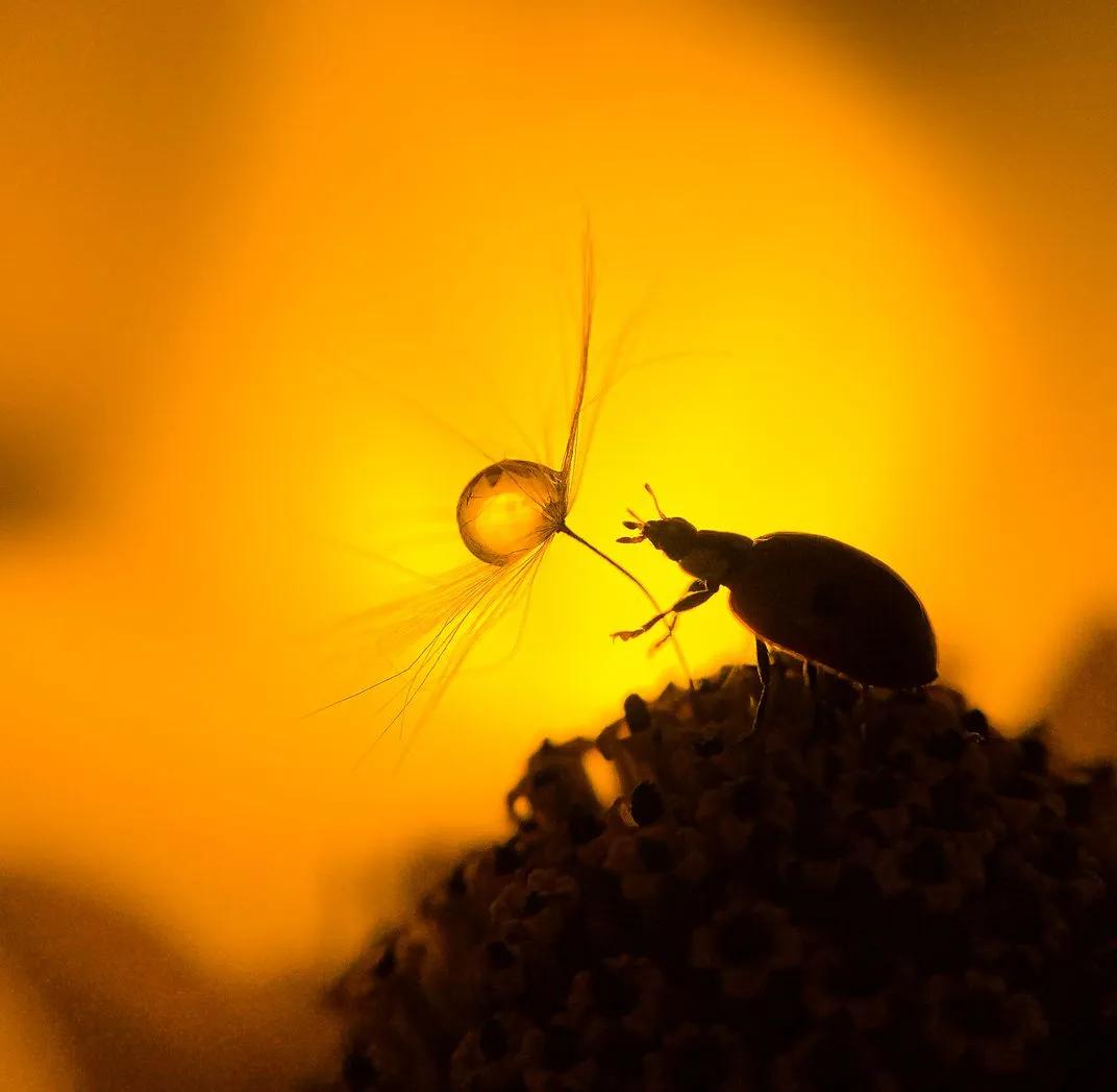 想成为摄影大神你得先过这一关,想要成为一名优秀的风光摄影师