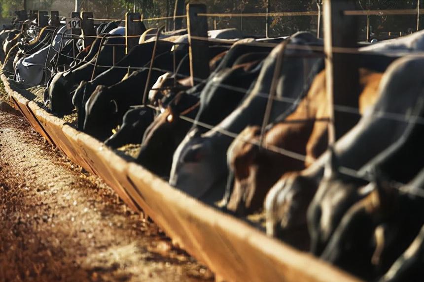 巴西2013图片大全,神奇的巴西