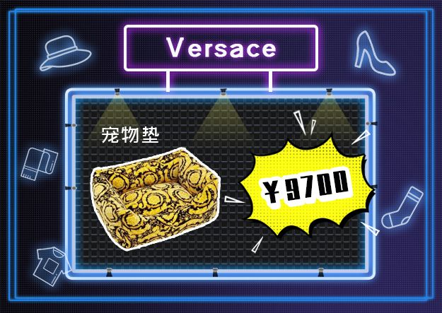 看到它3万块的项圈后，月薪3000的我瑟瑟发抖……