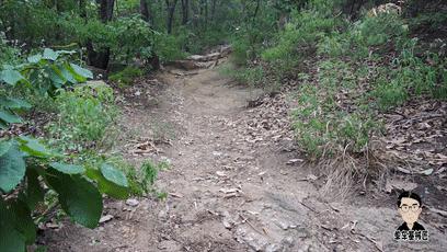 不是真空胎可以用补胎液吗,非真空胎胎压