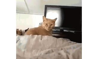 苏宁广场事件是真的吗,苏宁广场最新事件